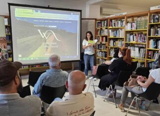 Bucine: progetto sperimentale di info point diffuso