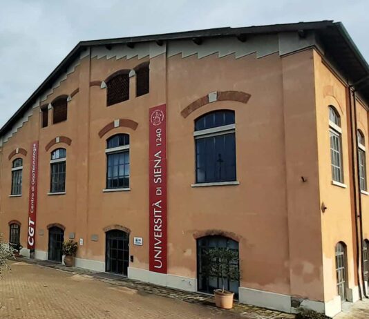 GeoTecnologie di San Giovanni Valdarno: i quasicristalli naturali