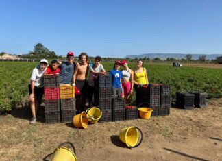 Giovani valdarnesi nei campi confiscati alla ‘ndrangheta