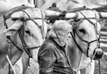 Terranuova: concorso fotografico “La più bella foto del Perdono”