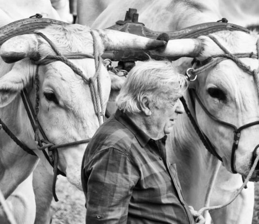 Terranuova: concorso fotografico “La più bella foto del Perdono”