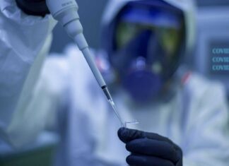 Caso sospetto di virus Chikungunya a San Giovanni Valdarno