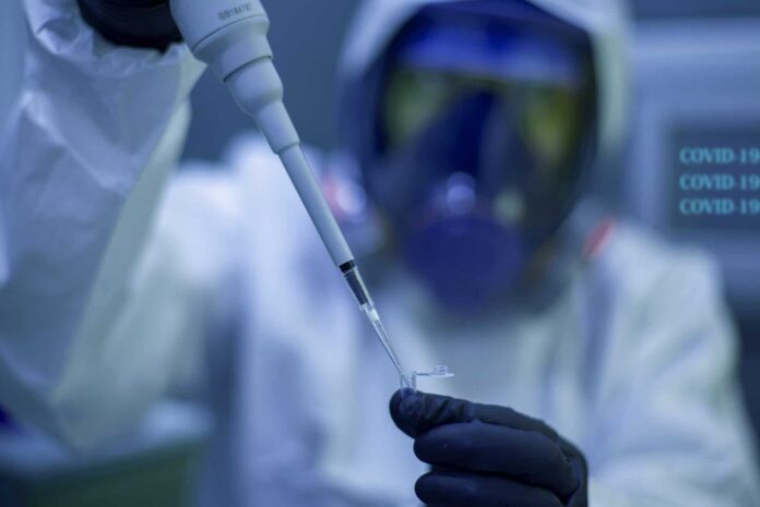 laboratorio-ricerca-dna-coronavirus.jpeg