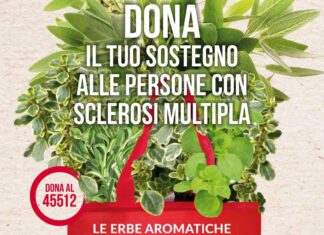 Le Erbe Aromatiche di AISM il 23 e 24 maggio a Terranuova Bracciolini