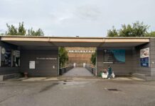 Incidente sulla Setteponti ferita una giovane di 18 anni