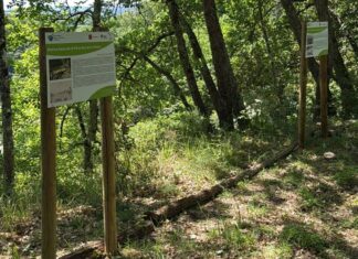 Riqualificati i sentieri nelle Riserve di Bandella e di Ponte Buriano e Penna