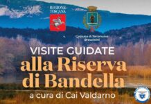 Alla scoperta della Riserva naturale di Bandella con camminate guidate