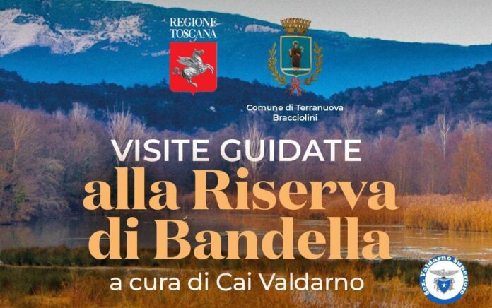 bandella-2026.jpg